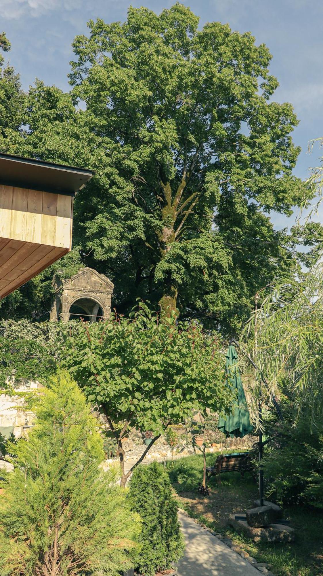 Garden Rooms In Kutaisi Esterno foto